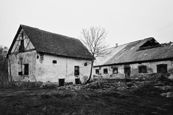 Joniškėlio dvaro ansamblis