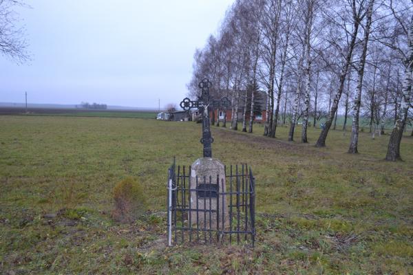 Kryžius prie D. Lelienės sodybos, netoli Pažosų kaimo