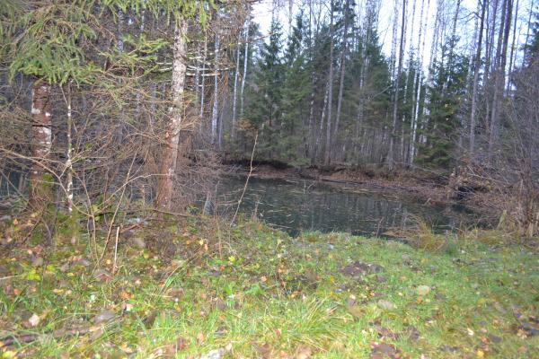 Vatkų smegduobė