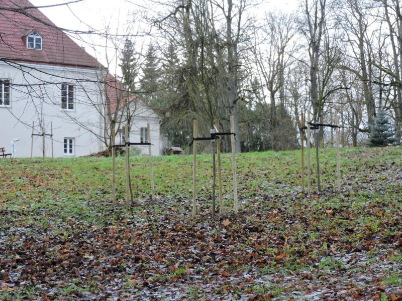 Joniškėlio dvaro ansamblis