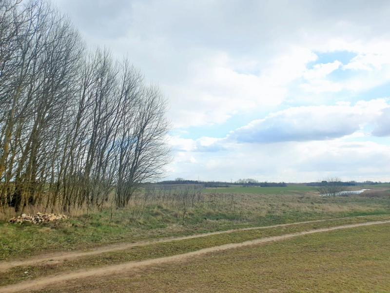 Pamiškių senkapis