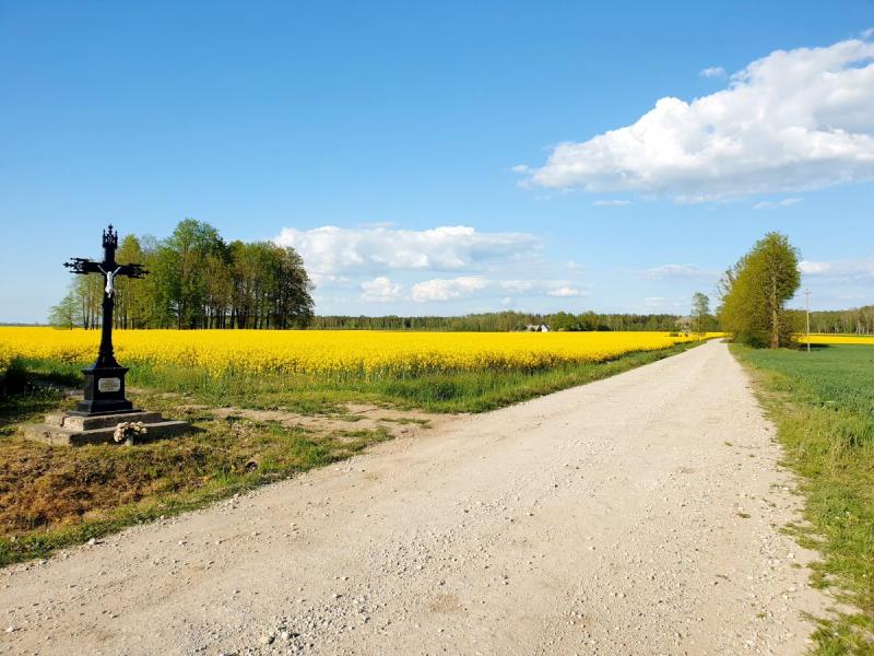 Burgėnų kaimo jaunuomenės kryžius