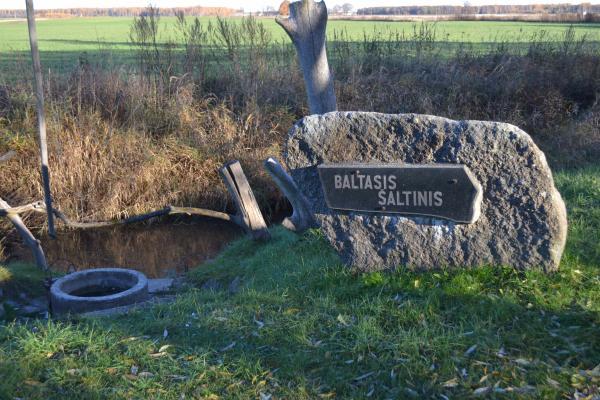 Baltasis (Barklainių) šaltinis