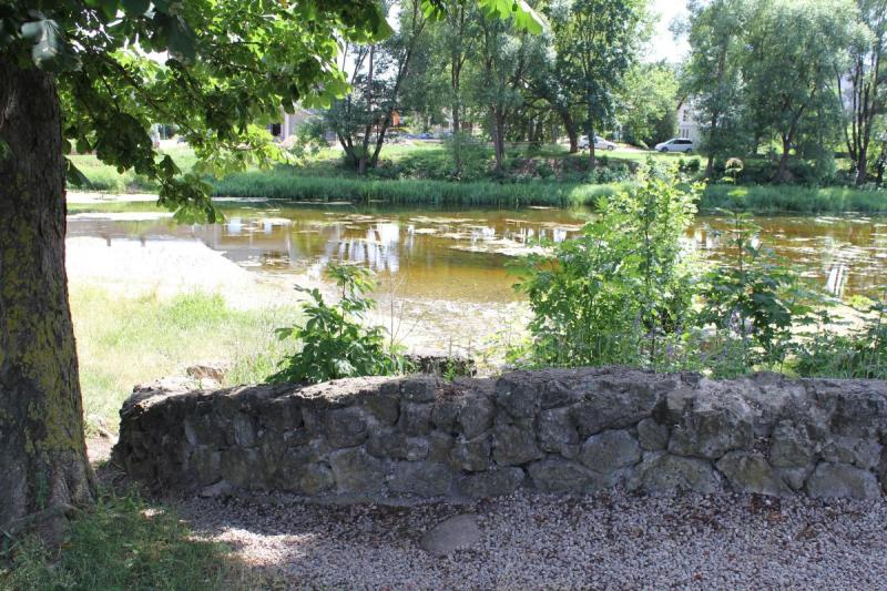 Žalsvasis šaltinis