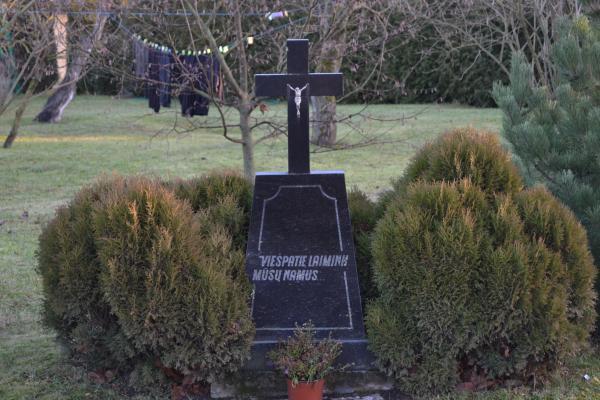 Kryžius Kazimiero Plevoko sodyboje, Vainekonių kaime