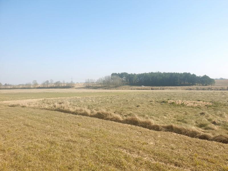 Vaidžiūnų kapinynas