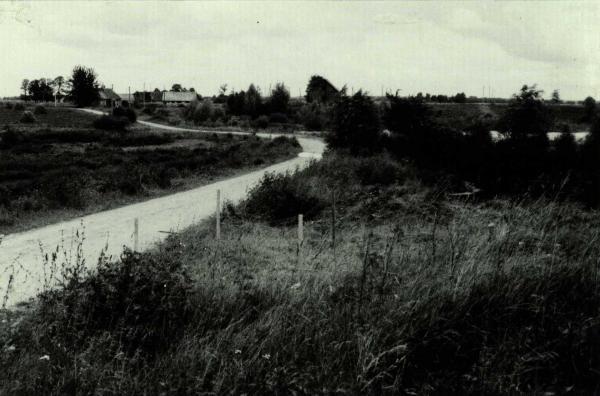 Baluškių senovės gyvenvietė