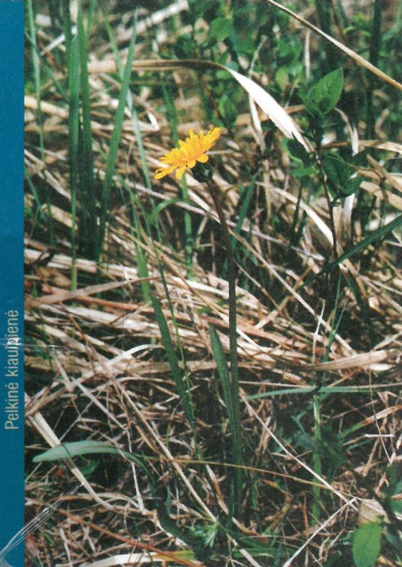 Pyvesos hidrografinis draustinis