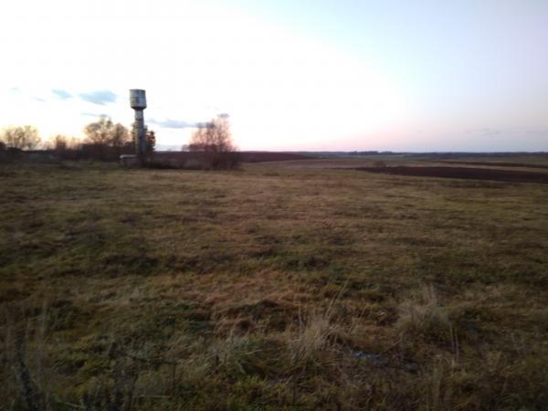 Kalneliškių senovės gamybos vieta