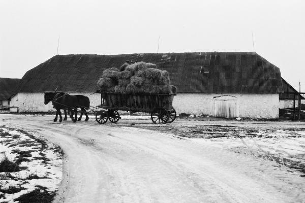 Kauklių dvaras