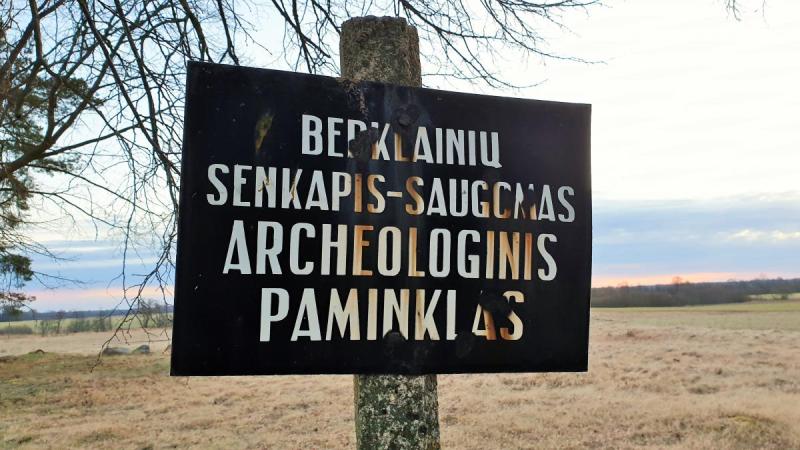 Berklainių pilkapynas ir kapinynas