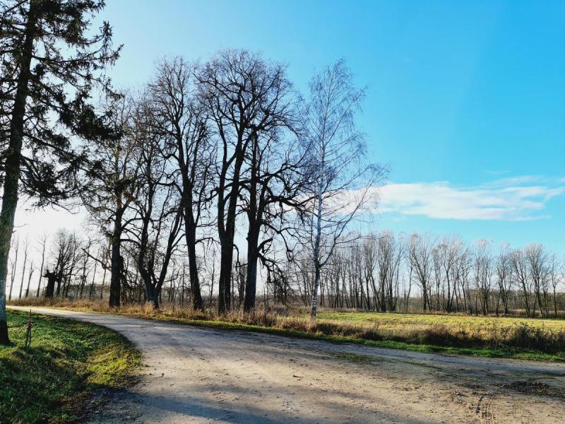 Daučkėnų dvaras