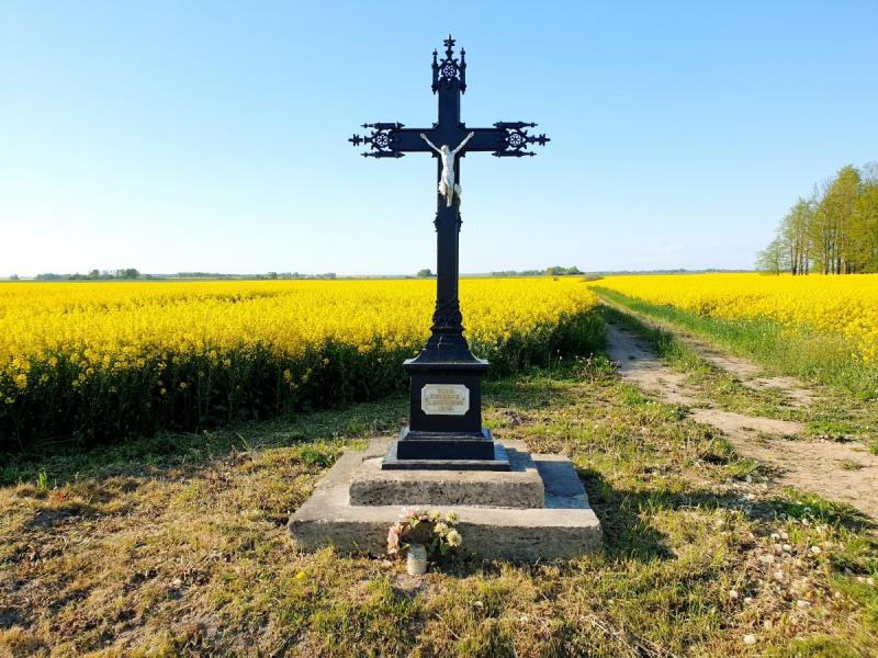 Burgėnų kaimo jaunuomenės kryžius