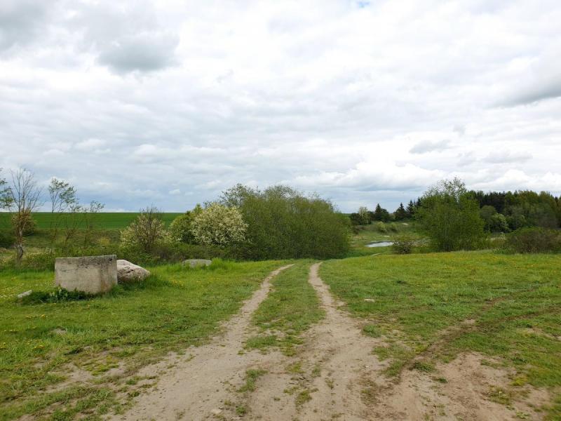 Skalių kalnas