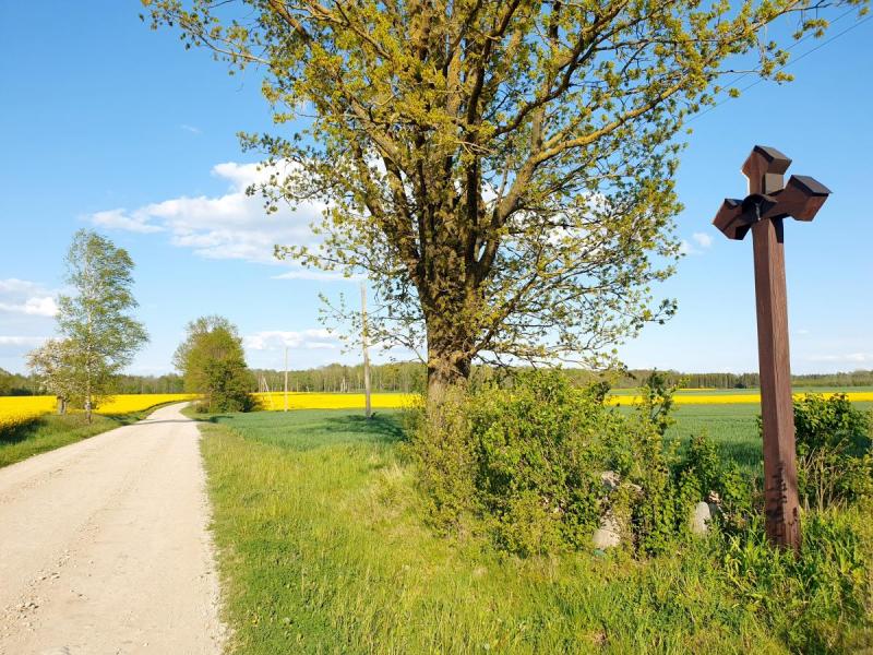 Kryžius prie kelio Žilpamūšis–Burgėnai