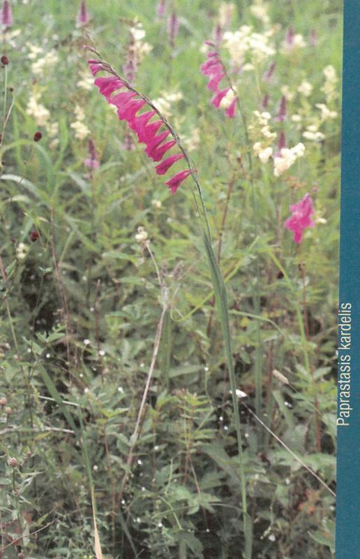 Pyvesos hidrografinis draustinis