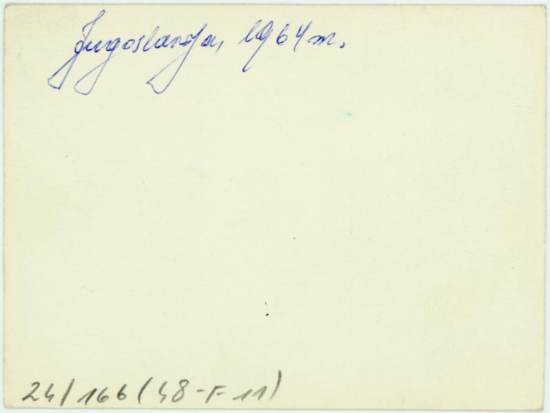Jonas Mikelinskas (dešinėje), Paulė Mikelinskaitė (ketvirta iš kairės) ir kiti asmenys. Jugoslavija, 1964 m.