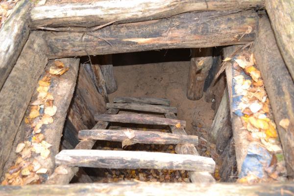 Bunkeris Margiuose, Žaliojoje girioje
