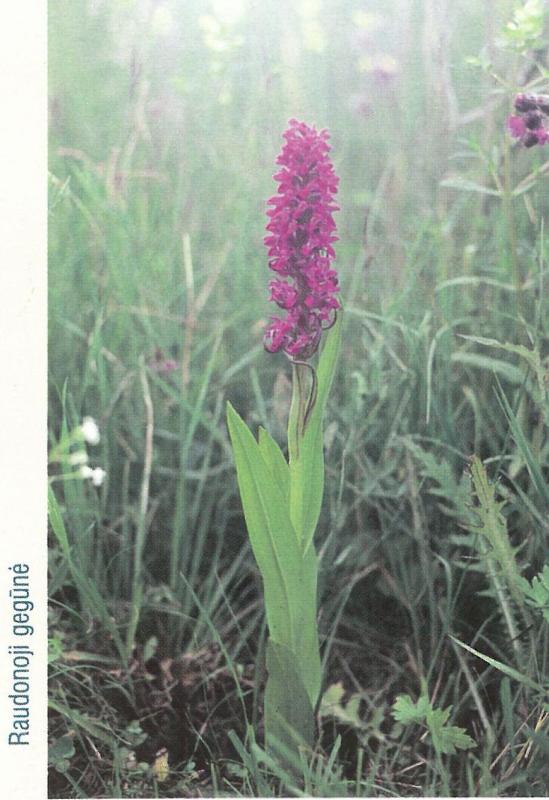 Pyvesos hidrografinis draustinis