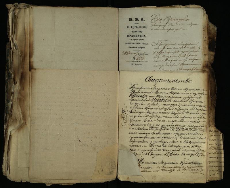 Pušaloto Romos katalikų parapijos bažnyčios 1843–1879 metų gaunamų raštų knyga