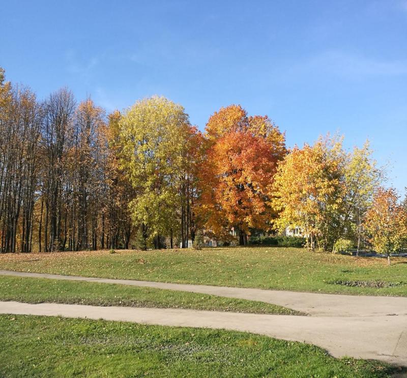 Smegduobių parkas Pasvalyje