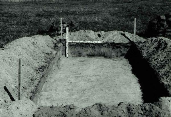 Vaidžiūnų kapinynas