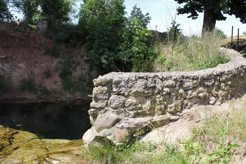 Žalsvasis šaltinis