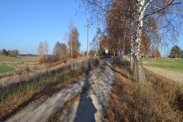 Saudogalos piliakalnis