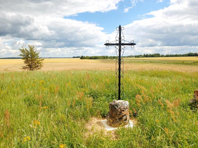 Lavėnų (Niurkonių) senkapis