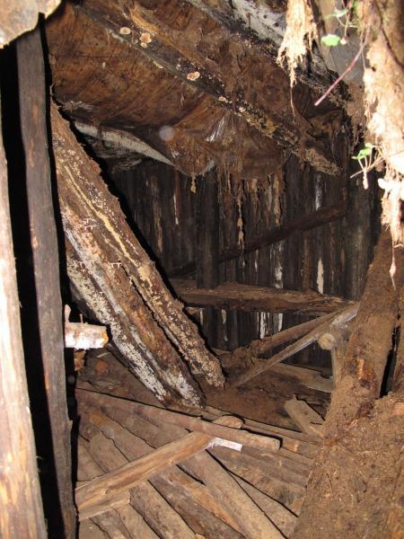 Partizanų bunkeris Žaliojoje girioje, netoli Druciškių kaimo