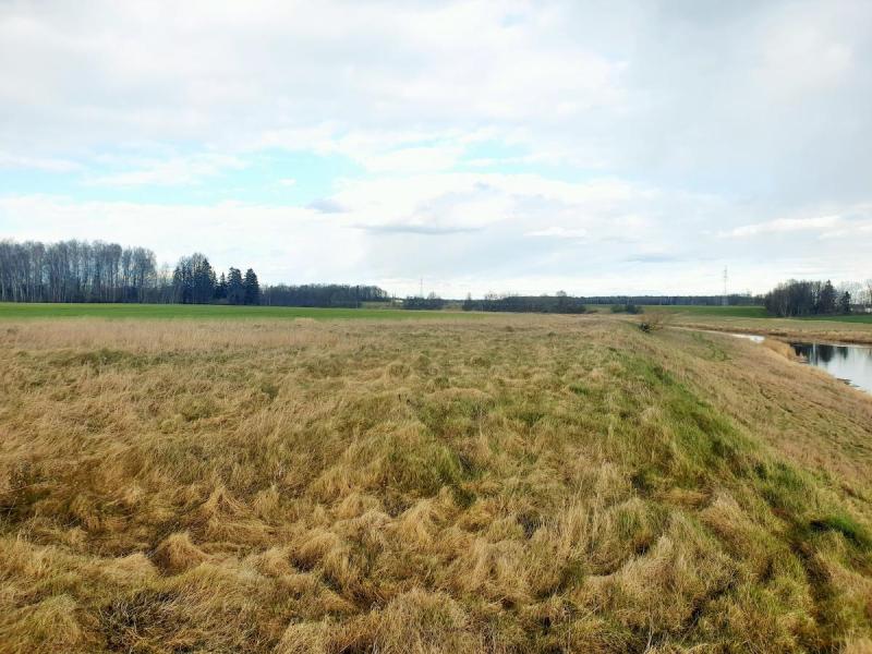 Pamiškių senkapis