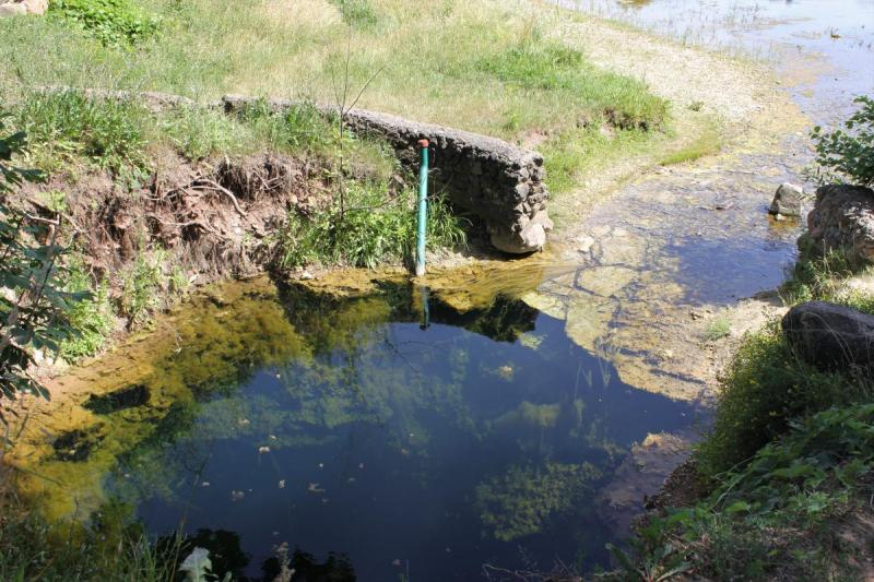 Žalsvasis šaltinis