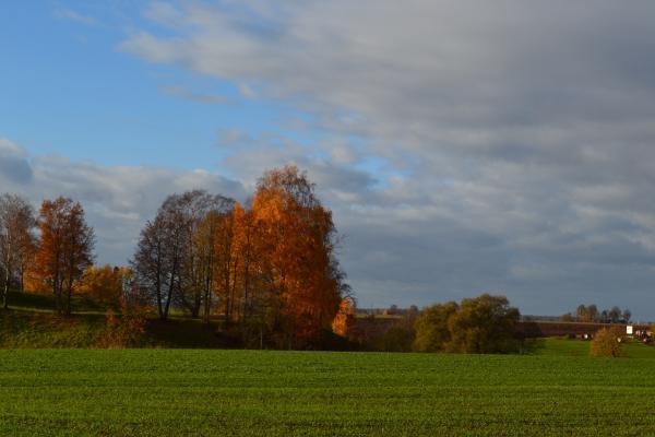 Migonių (Šimonių) piliakalnis