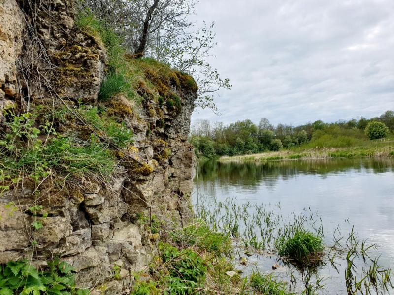 Skalių kalnas