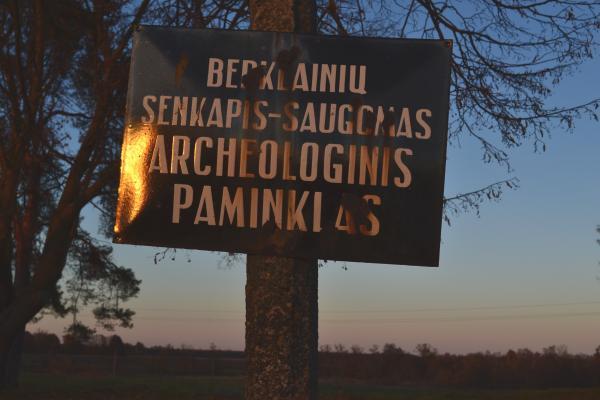 Berklainių pilkapynas ir kapinynas
