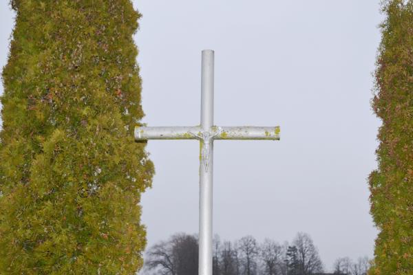 Kryžius Šeižių šeimai Šiukštonių kaime