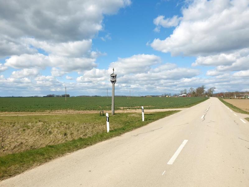 Pavasarininkų kuopos koplytstulpis Medinių kaime