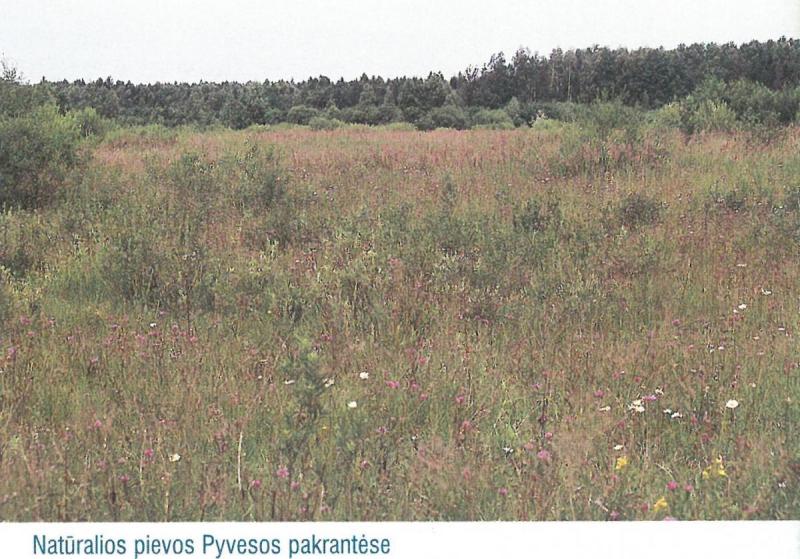 Pyvesos hidrografinis draustinis