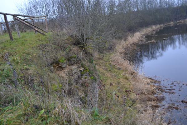 Skalių kalnas
