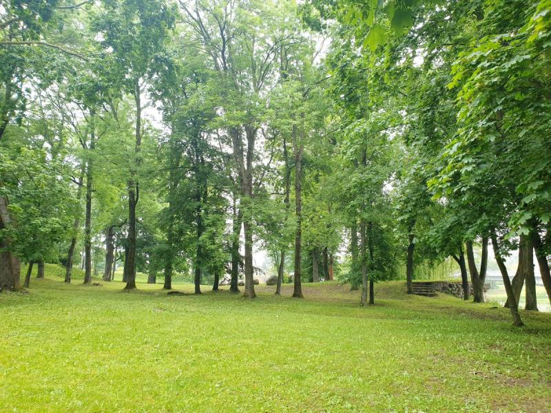 Pasvalio senosios klebonijos (Užupio) parkas