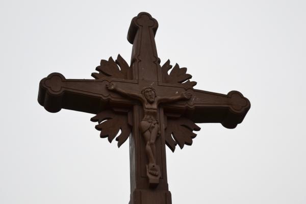 Kryžius Vitos ir Edmundo Žvigaičių sodyboje, Jakūbonių kaime