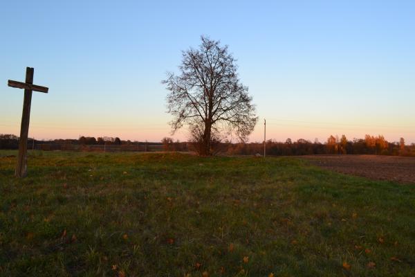 Berklainių pilkapynas ir kapinynas