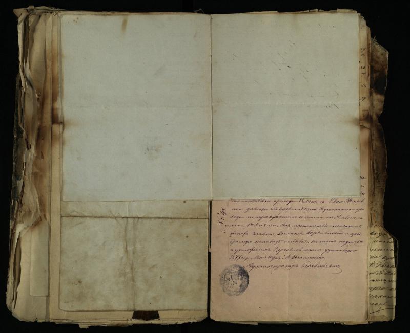 Pušaloto Romos katalikų parapijos bažnyčios 1843–1879 metų gaunamų raštų knyga