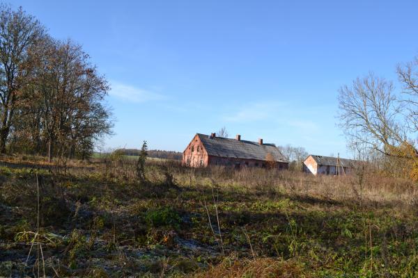 Raudonpamūšės dvaras
