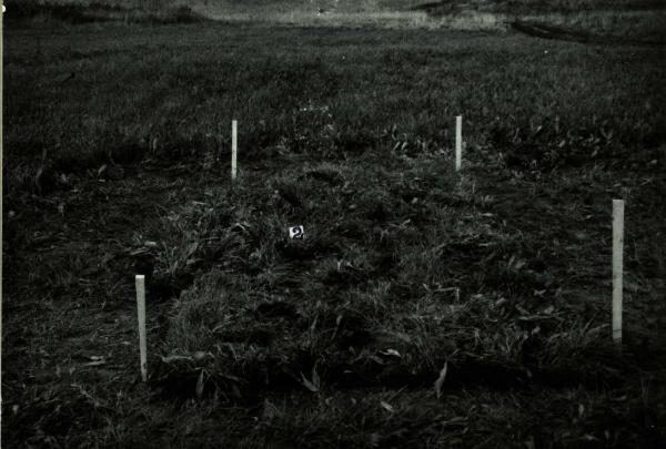 Kalneliškių senovės gamybos vieta