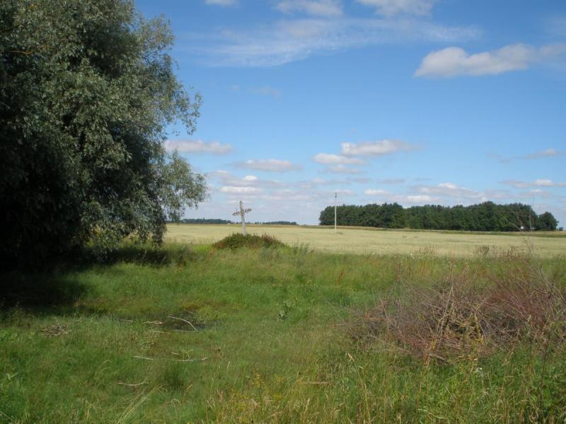 Kryžius pavasarininkams Vainekonių kaime
