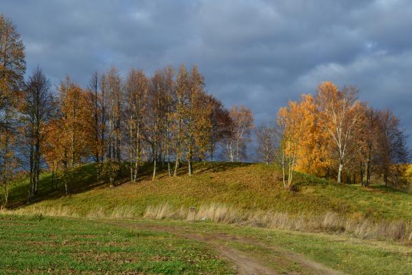 Migonių (Šimonių) piliakalnis