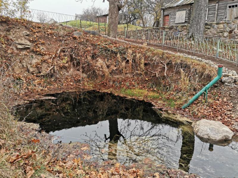 Žalsvasis šaltinis