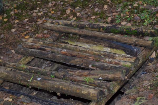Partizanų bunkeris Žaliojoje girioje, netoli Druciškių kaimo