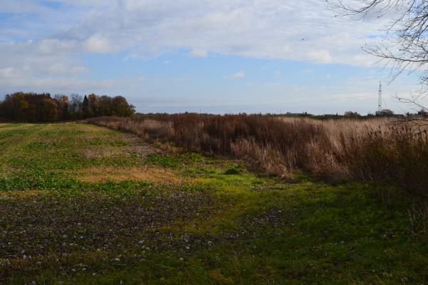 Pamiškių senovės gyvenvietės